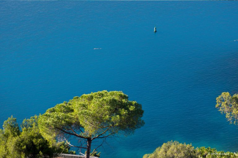 Location de bateau à Nice
